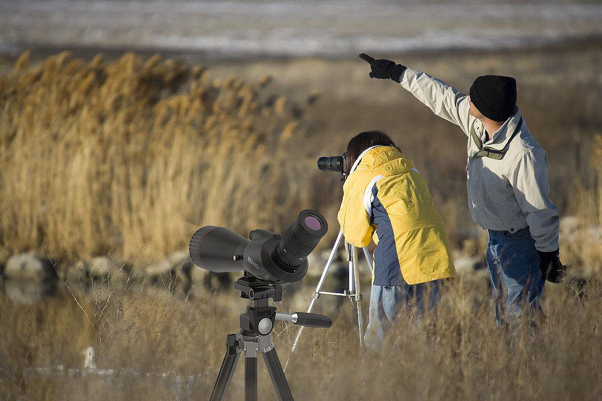 观鸟镜设计（图ZOTM4MTU1OTY=） - 工业用品/机械 - 站酷设计师胖胖子丫丫原创素材 - 站酷ZCOOL