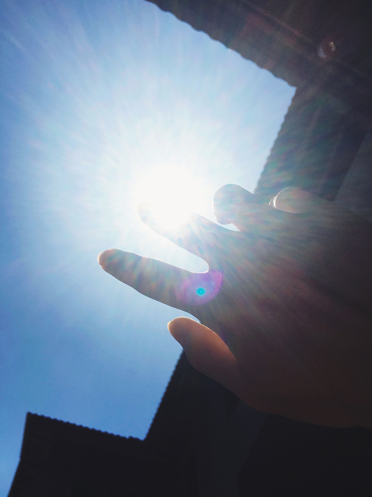 你生活中的那一米阳光