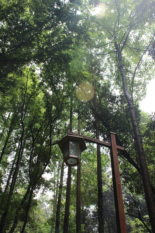 西塘——倚楼听风雨，淡看江湖路（图ZNzAyNjY2Njg=） - 风光摄影 - 站酷设计师树水茜原创素材 - 站酷ZCOOL
