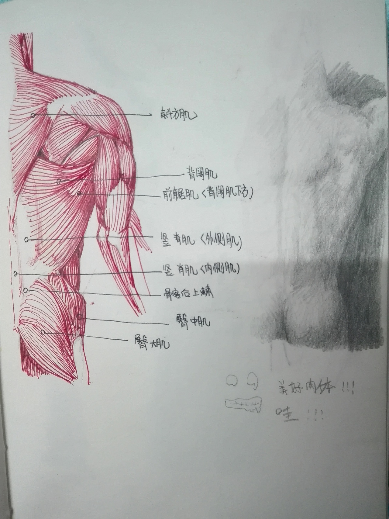2016:小本本上的。