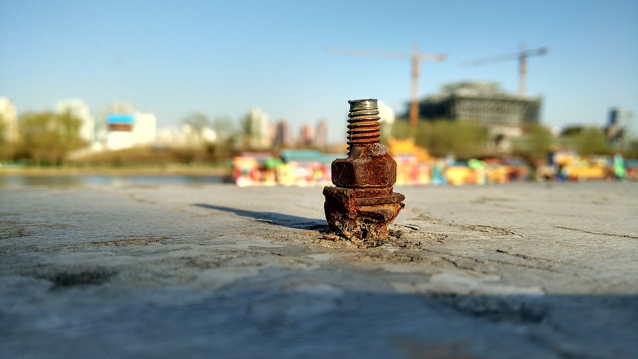 随手拍,定格记忆,奥体公园