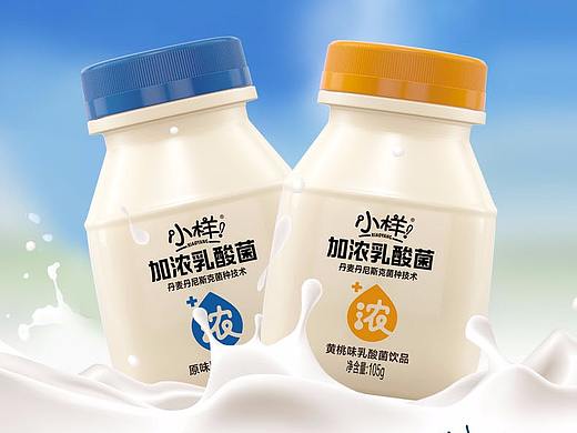 小乳酸饮品详情