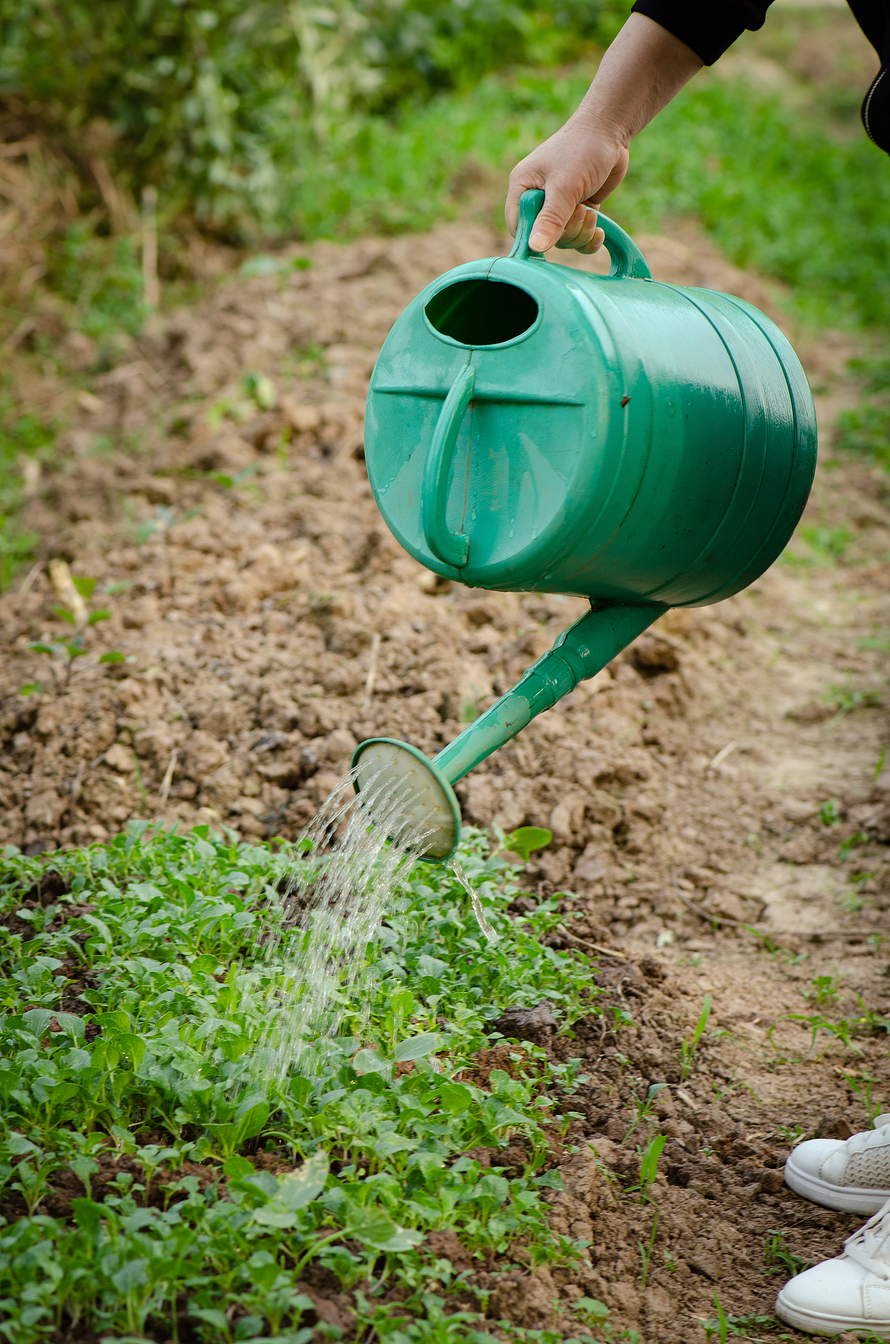 回归我的田园生活