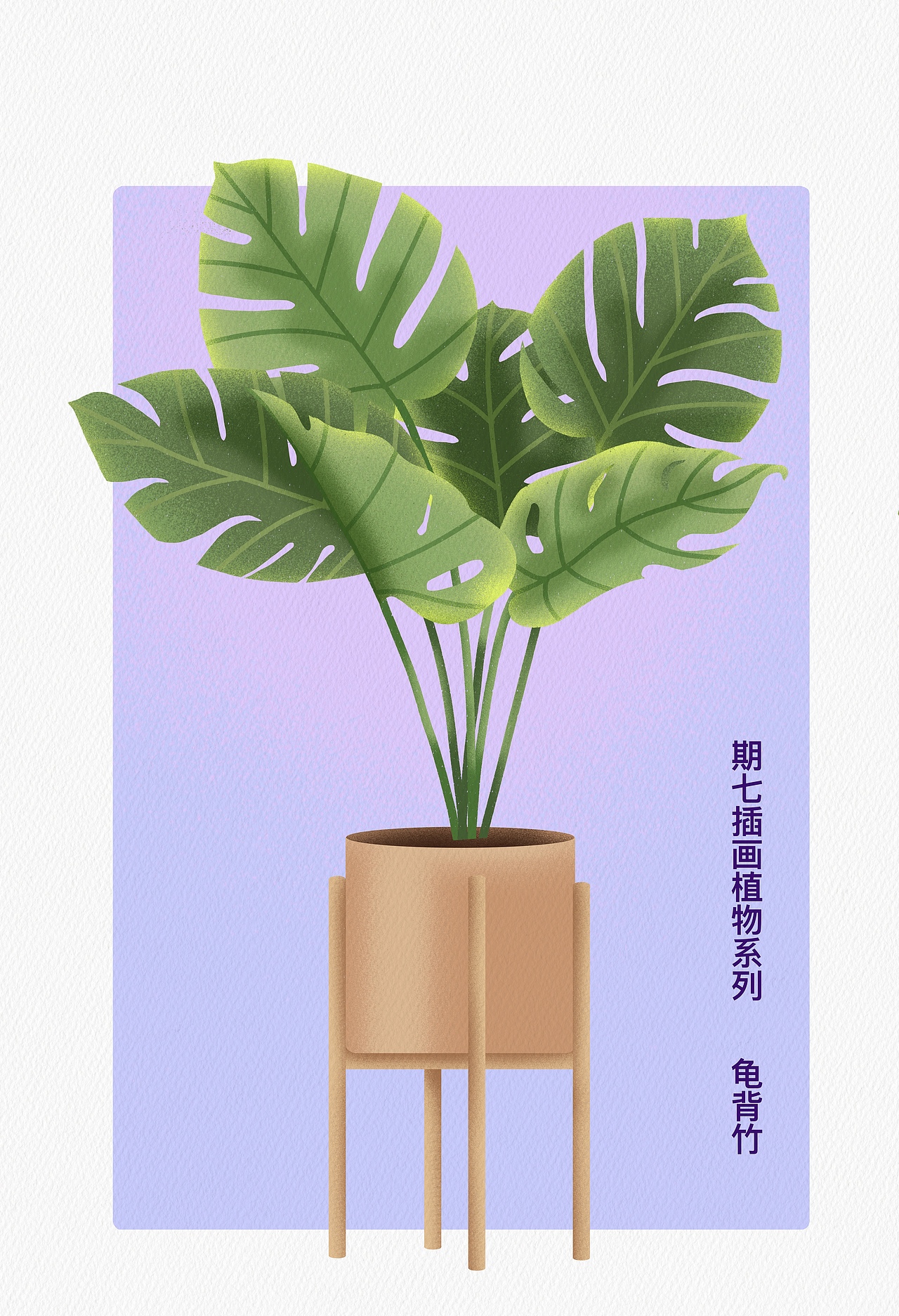 扁平风插画植物系列合集