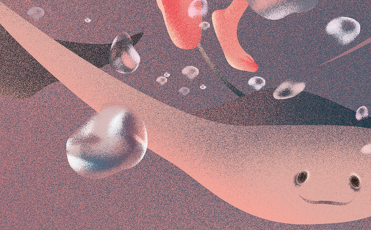 The Ocean Son（图ZMjYyNTA1NTY4） - 商业插画 - 站酷设计师LamTakChuen原创素材 - 站酷ZCOOL