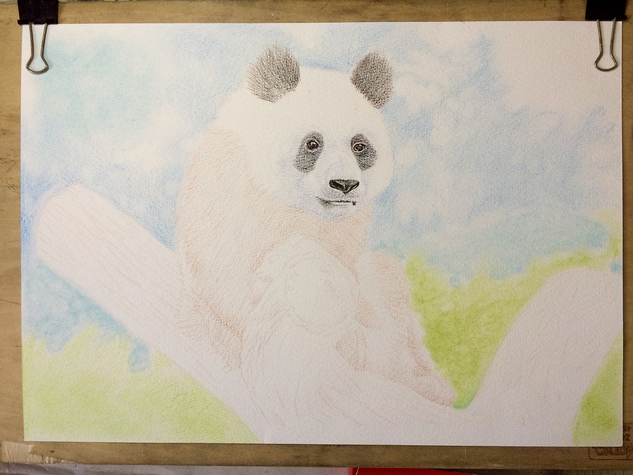 彩铅手绘/熊猫