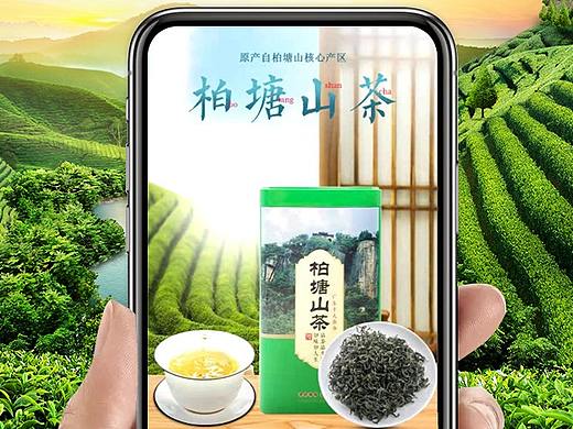 绿茶详情页