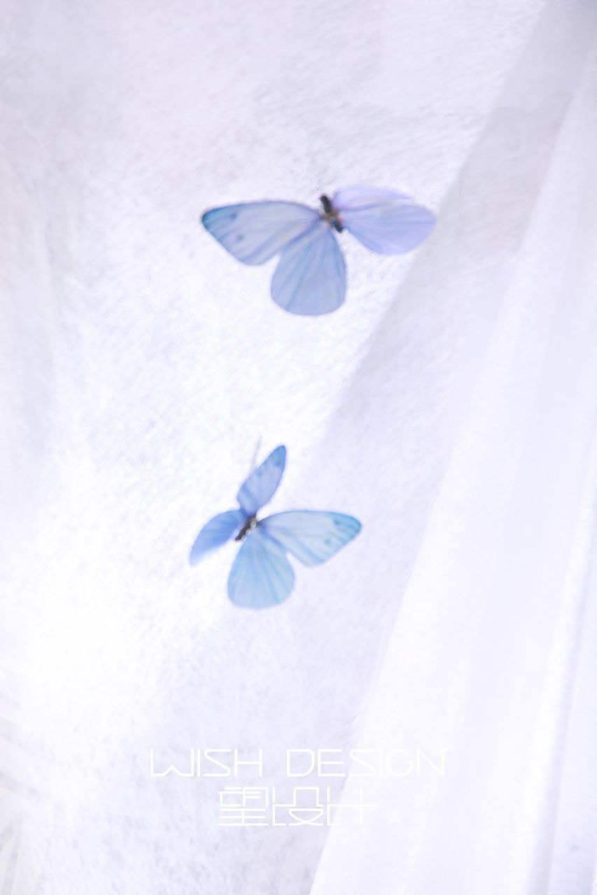 兰奕婚纱:卡纳蓝之舞