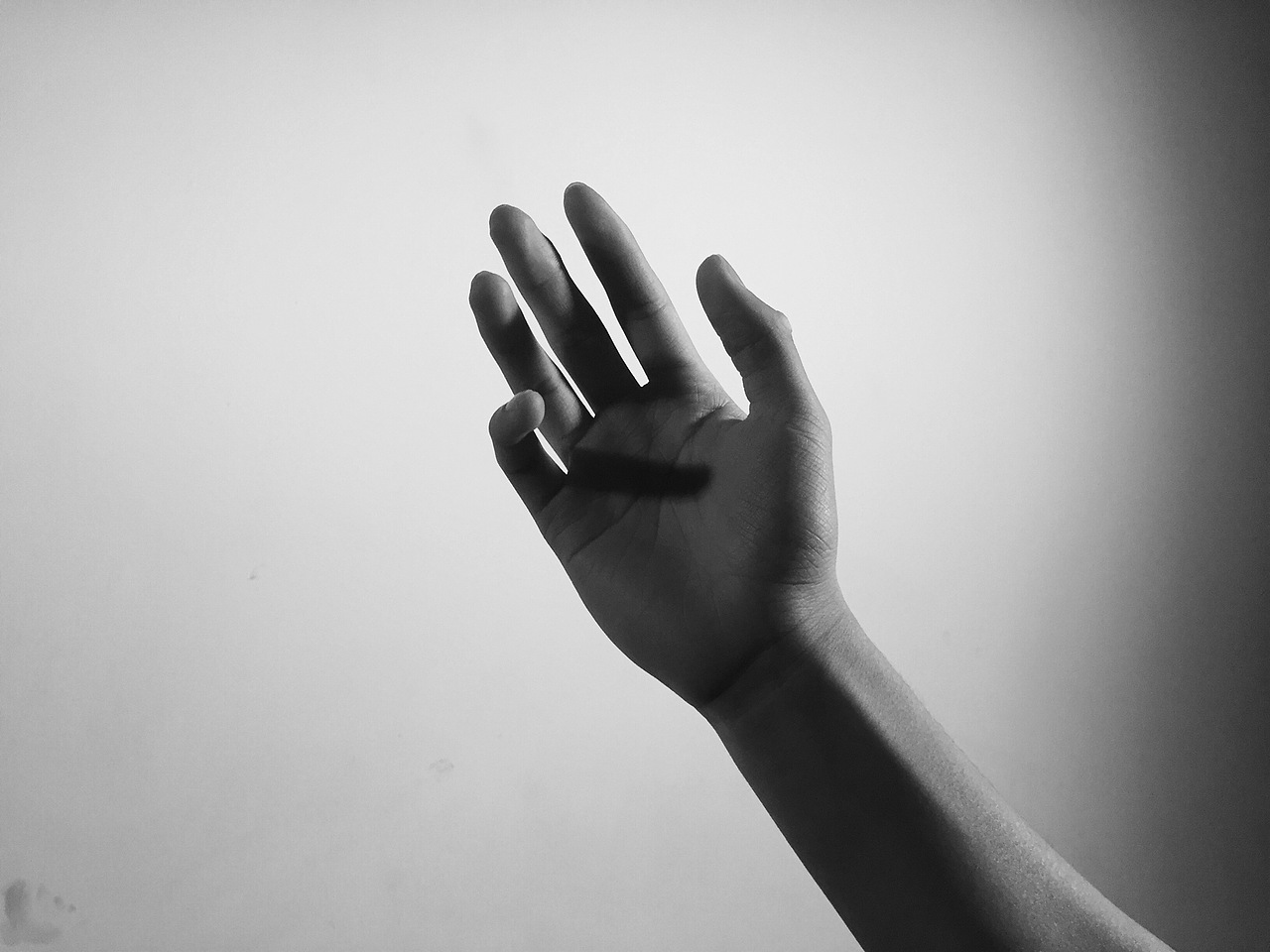 你赤裸的样子很美