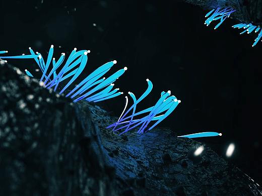 C4D XP TFD 小效果
