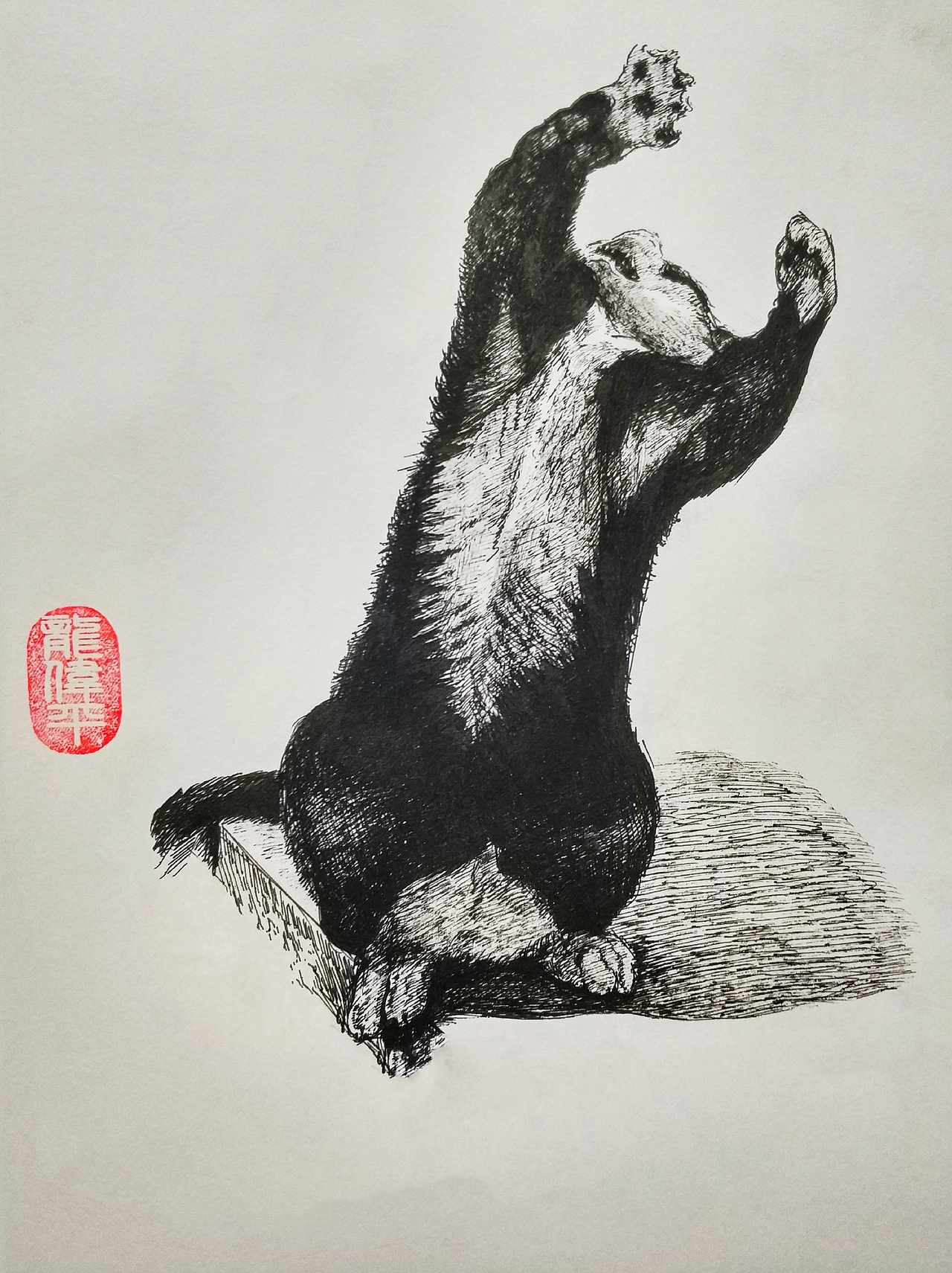 素描猫咪（图ZMTk5MTE0NTAw） - 儿童插画 - 站酷设计师龙伟平原创素材 - 站酷ZCOOL