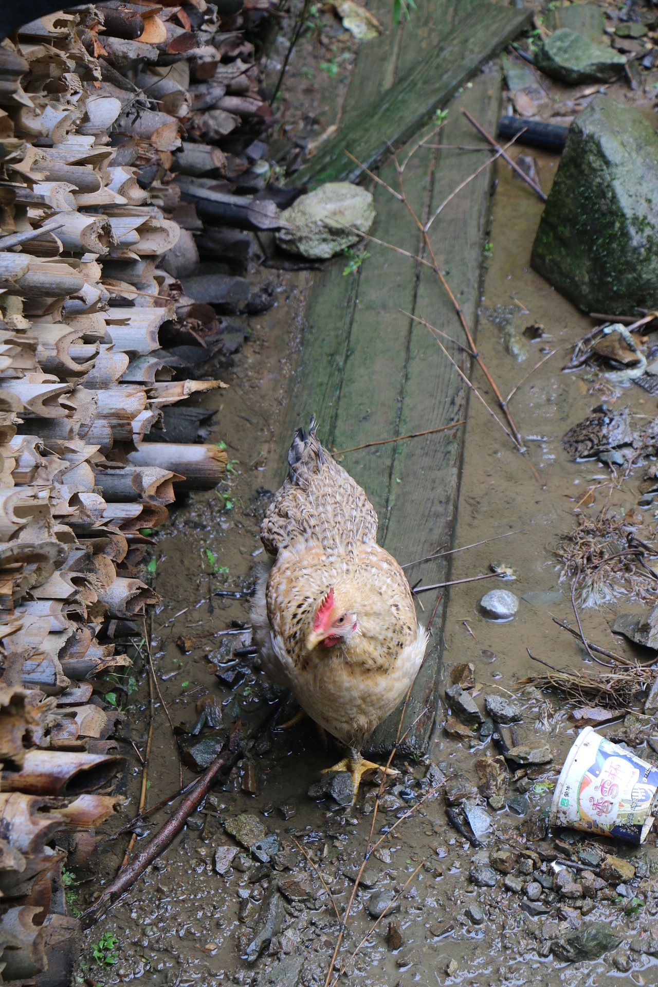 美好惬意的安徽之旅