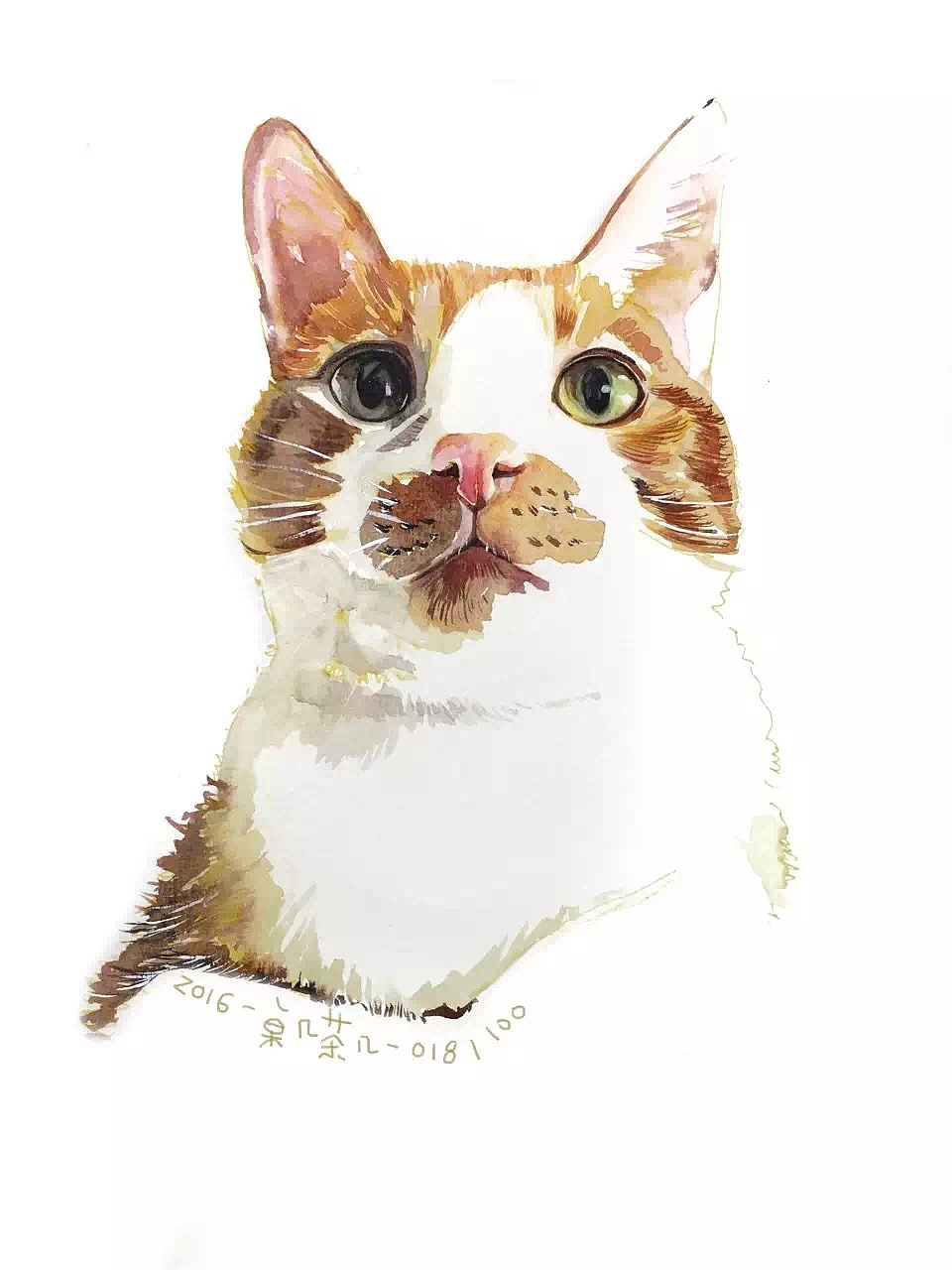 #存图# 没完成的100只猫（图ZMTc0MDM1OTI0） - 创作习作 - 站酷设计师汪野心原创素材 - 站酷ZCOOL