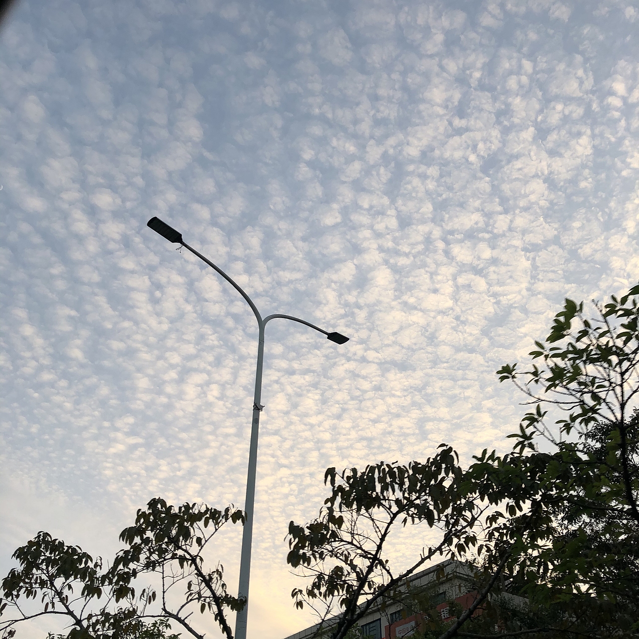 云-事-物——手机拍摄