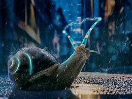 蜗牛为梦想而生