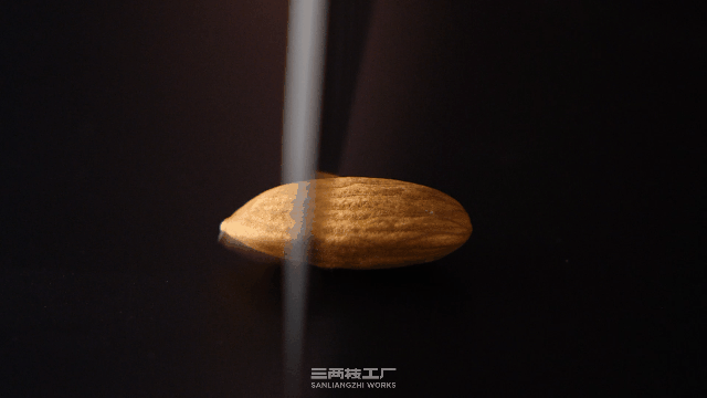 丝滑坚果巧克力 | 三两枝创意工厂（图ZMjc5NDQ4MTMy） - 短片 - 站酷设计师三两枝创意工厂原创素材 - 站酷ZCOOL