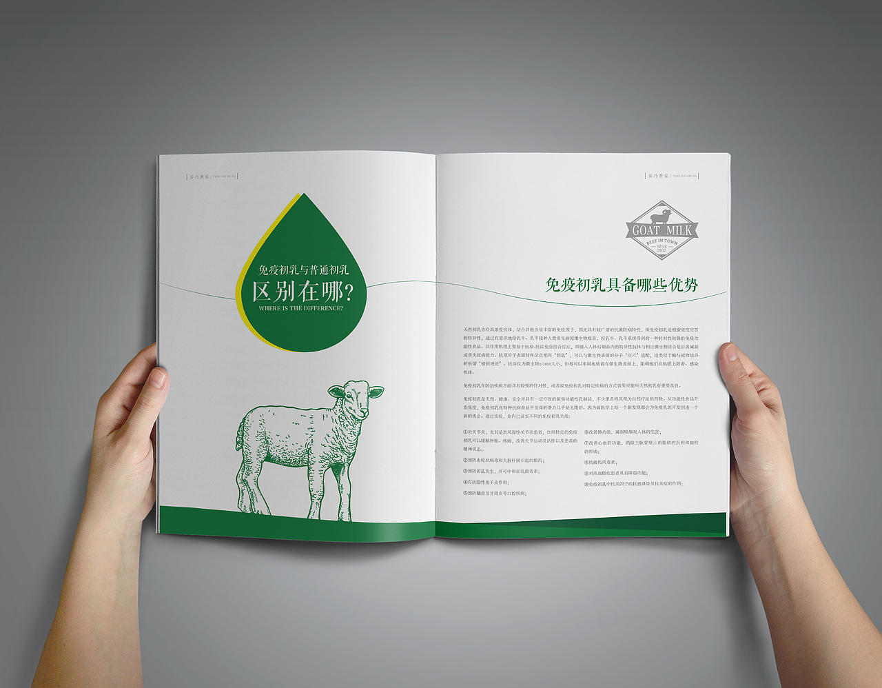 养乃世家画册设计