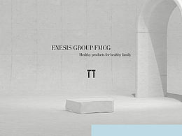 恩尼世ENESIS · 品牌视觉设计