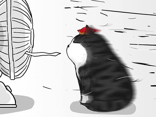 夏天实在是太不友好了…