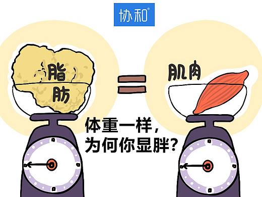 2019年上半年的大图汇总（部分）
