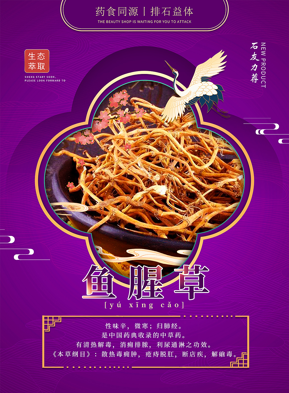 中医药产品图（图ZMjU5NzA4MzQw） - 海报 - 站酷设计师特兰克斯基原创素材 - 站酷ZCOOL
