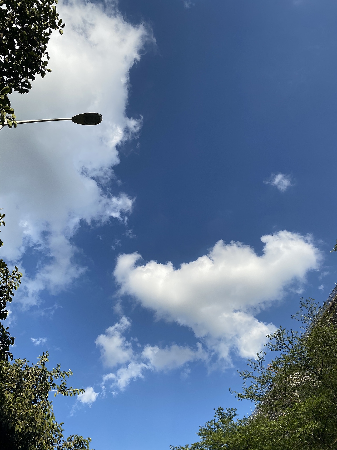 大学城南亭轮渡码头（图ZMjY1NjY0Njky） - 风光摄影 - 站酷设计师小让让原创素材 - 站酷ZCOOL