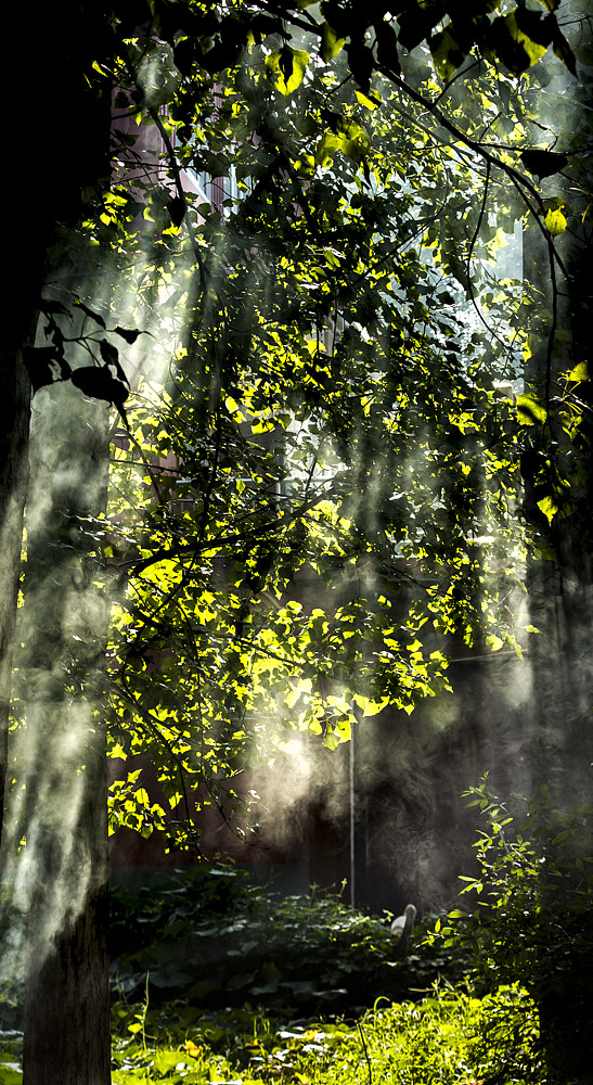 清晨微光|摄影|风光摄影|木乔桥啦 - 原创作品 - 站酷 (zcool)