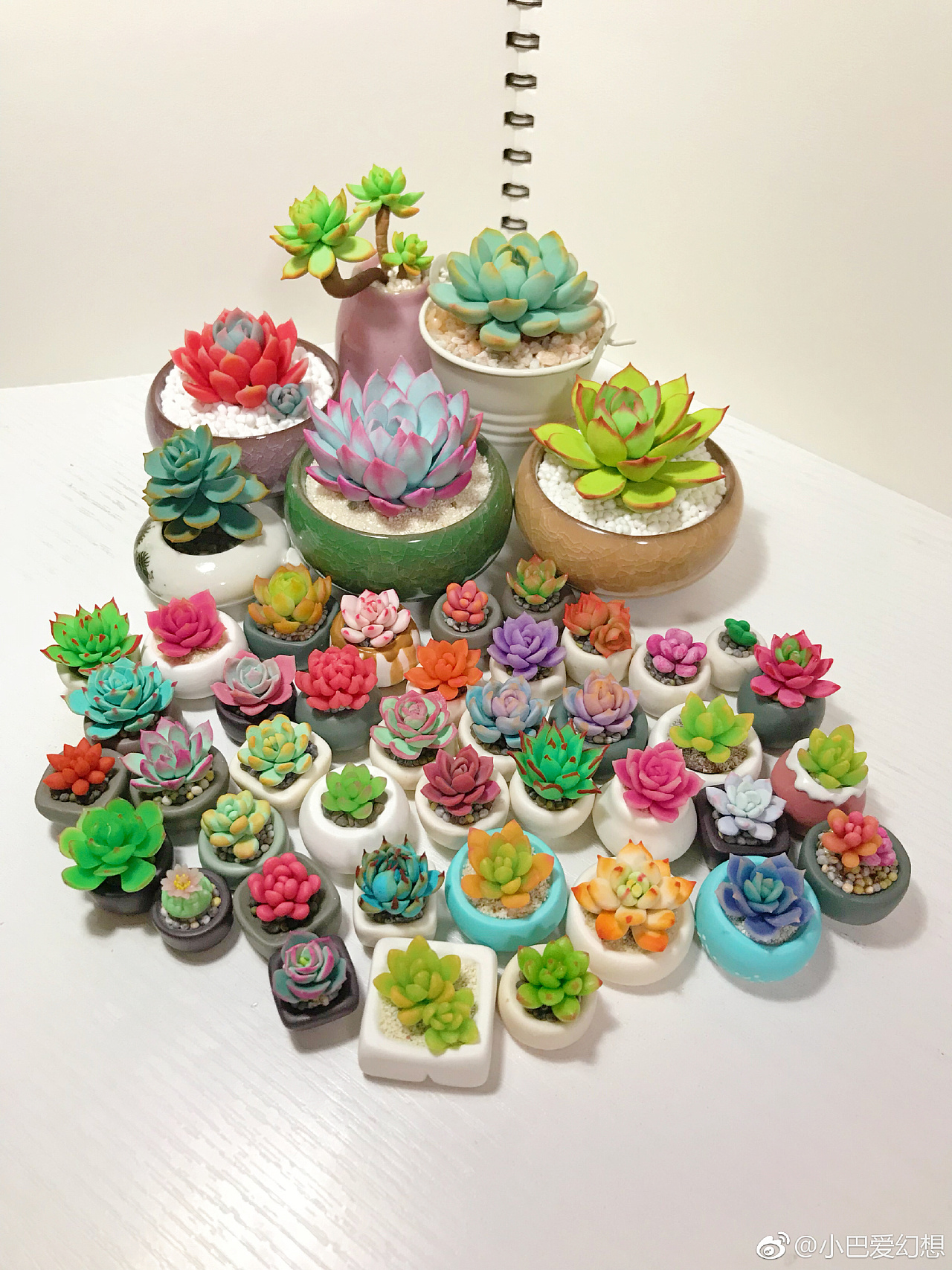 软陶多肉 - 原创作品 - 站酷(zcool)