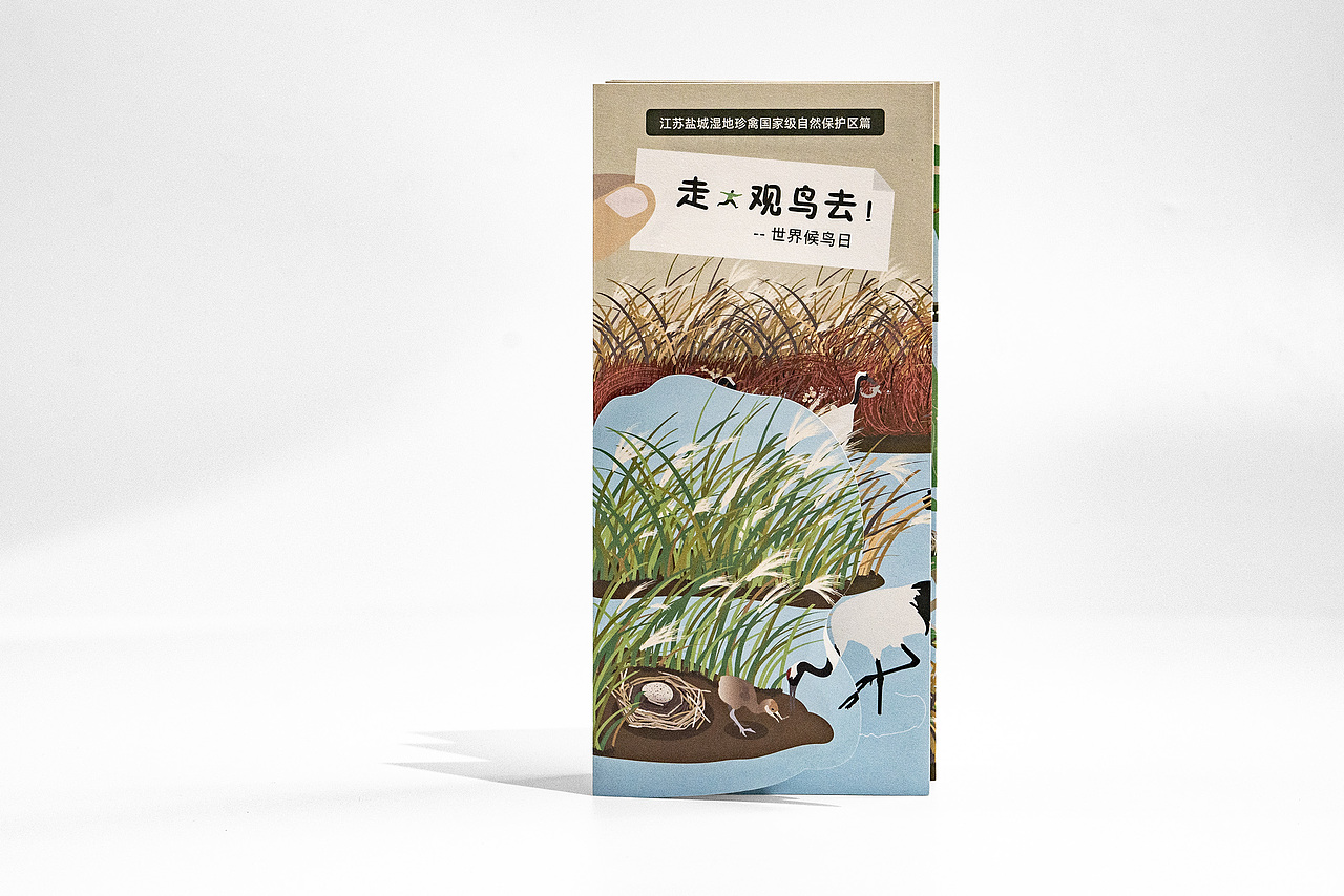 5举报44分享原创作品平面宣传物料折页自然教育公益观鸟科普设计tofu