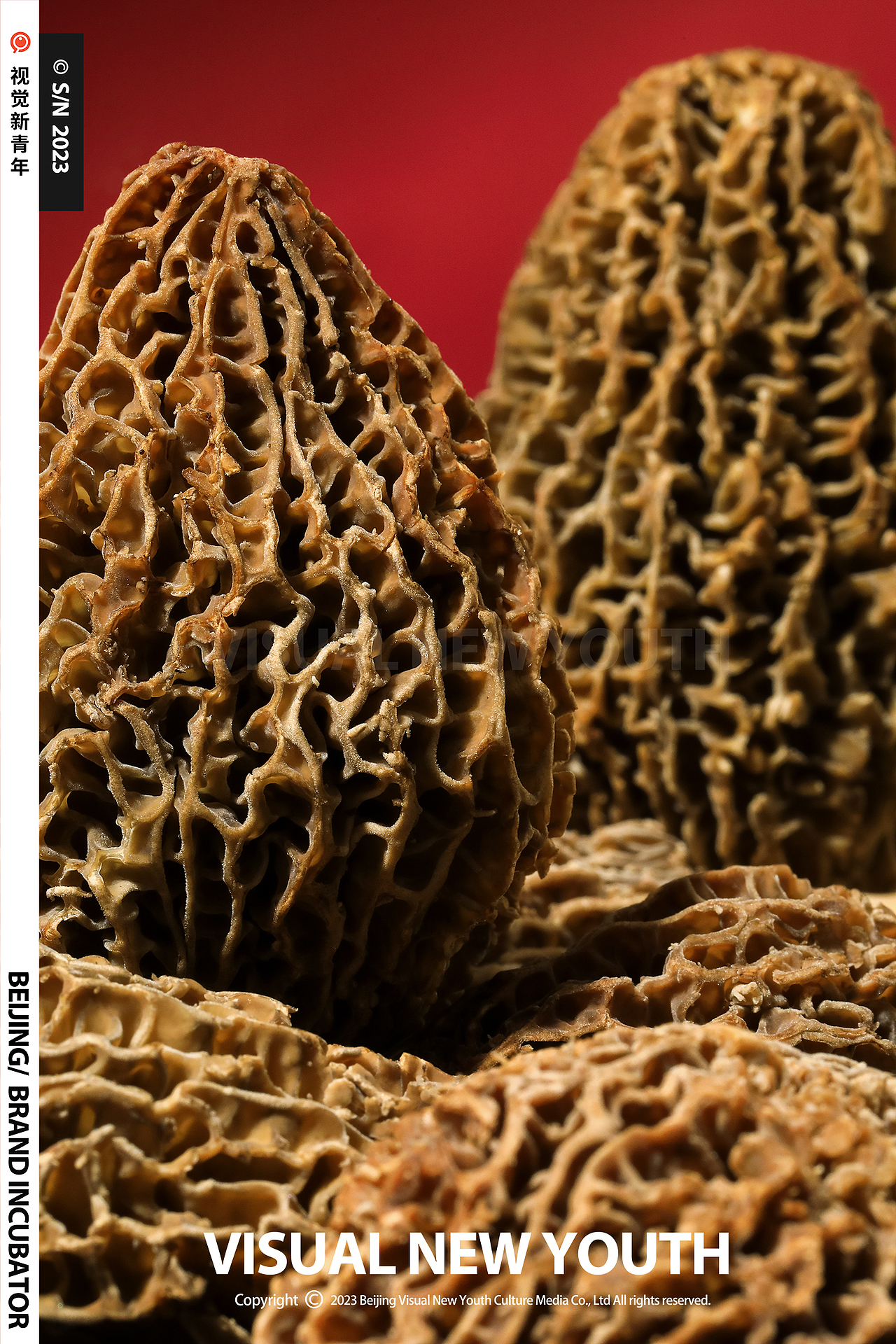 ● 电商拍摄（正大预制菜）视觉新青年S/N202（图ZMzMwODg5NjQ4） - 美食摄影 - 站酷设计师视觉新青年创意原创素材 - 站酷ZCOOL