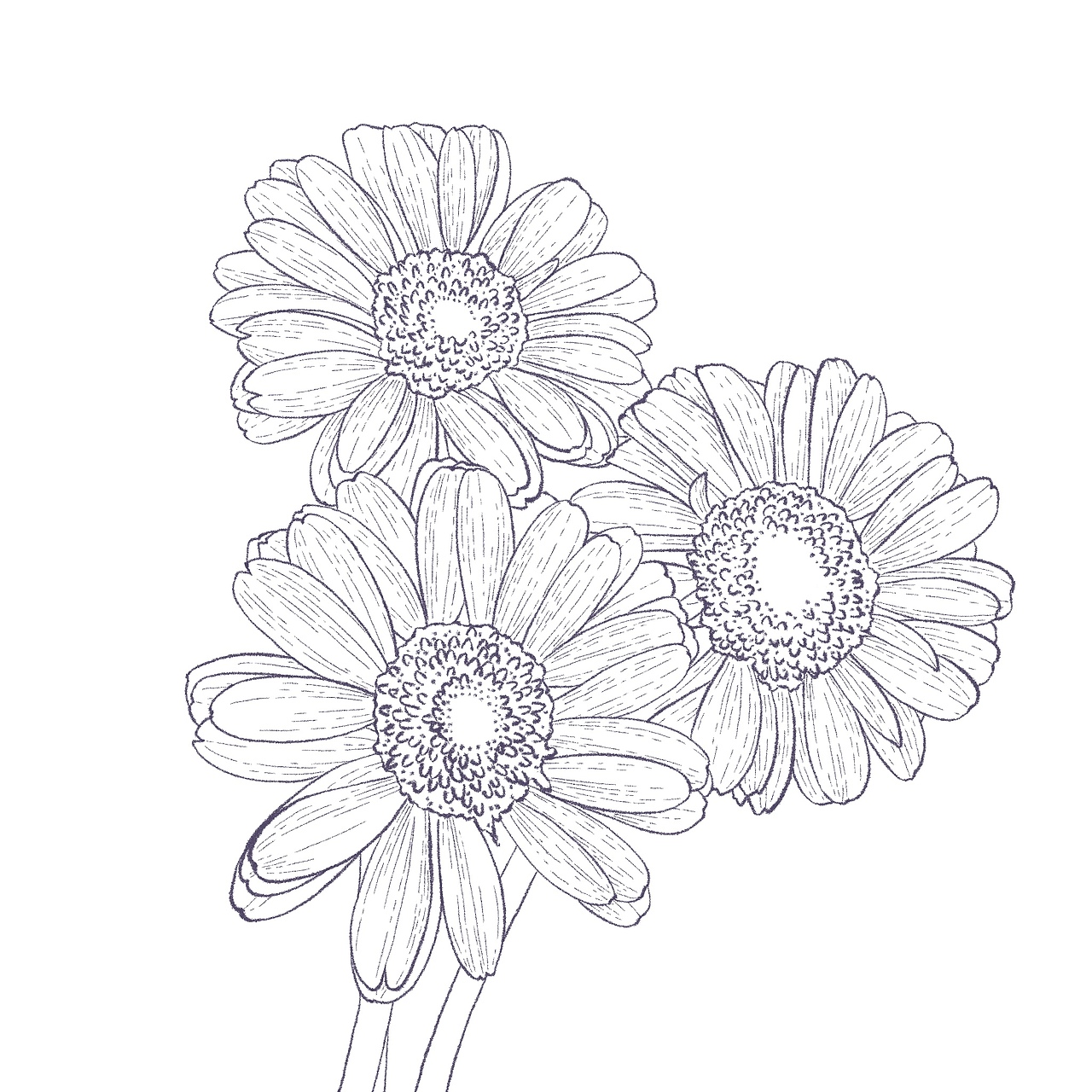 一组水彩花卉练习