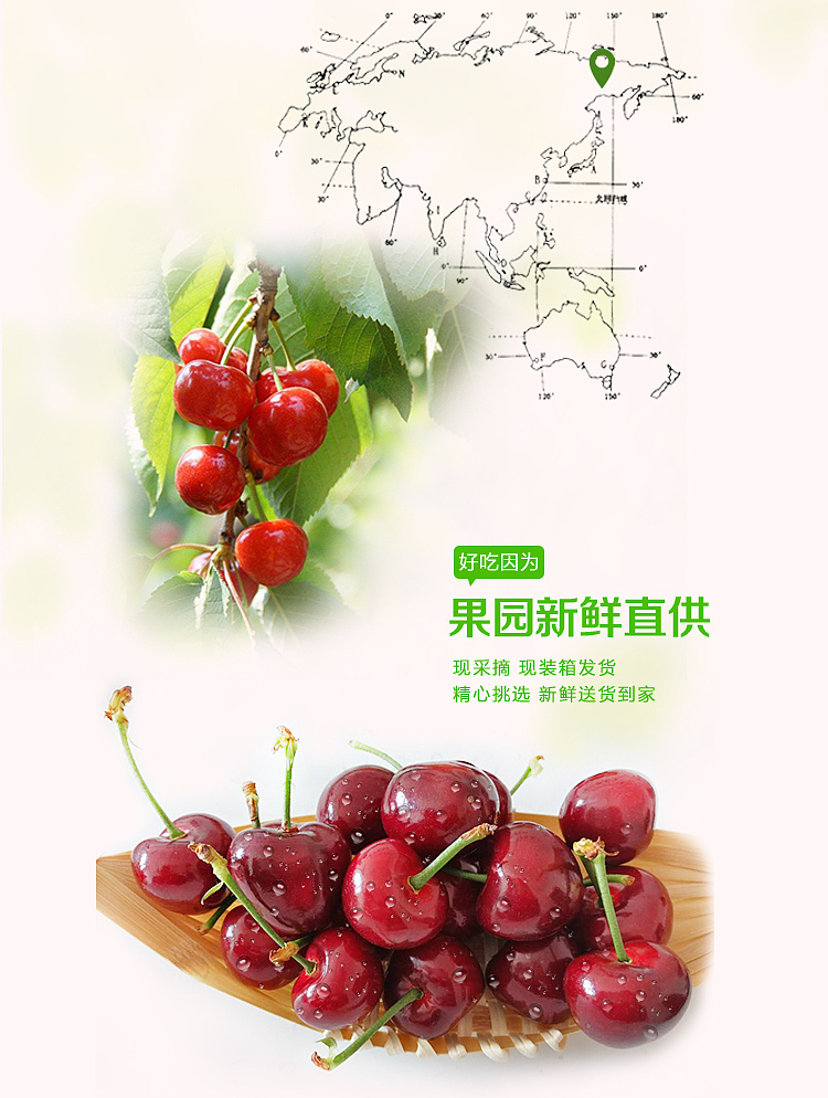 一下午搞定的樱桃详情页设计（图ZNzY5NjQ4NjA=） - 电商 - 站酷设计师SugarNO1原创素材 - 站酷ZCOOL