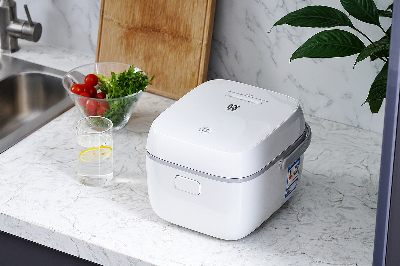 双立人nova迷你电饭煲