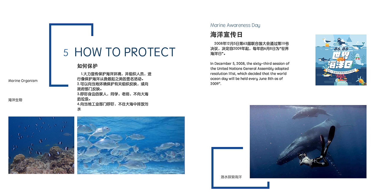 海洋保护宣传册（图ZODc0MzUxMjQ=） - 书籍/画册 - 站酷设计师猫神咕咕原创素材 - 站酷ZCOOL