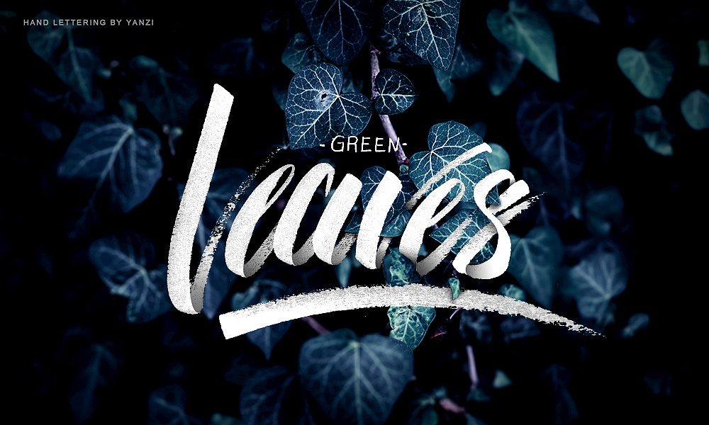 (八仙花)syringa紫丁香colourful五彩缤纷fragrance芬芳stamen雄蕊