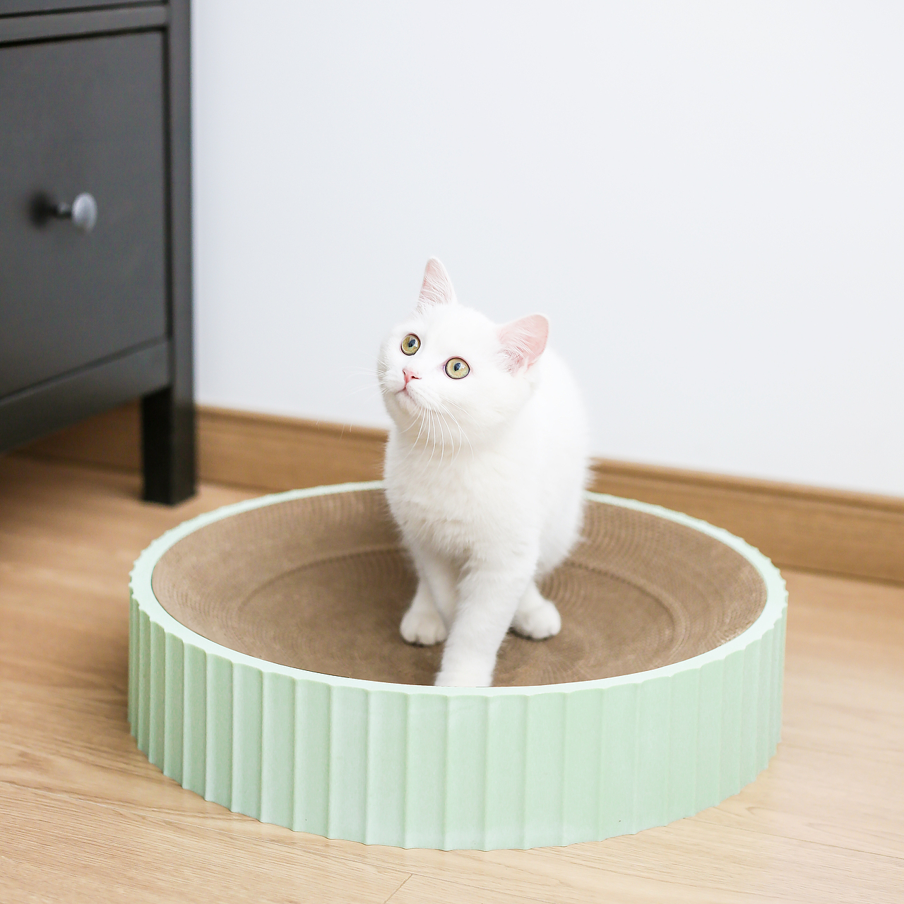 猫抓板猫窝的拍摄，感谢金主爸爸的信任~