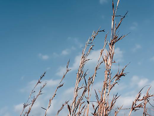 疫情期间呆在家拍的