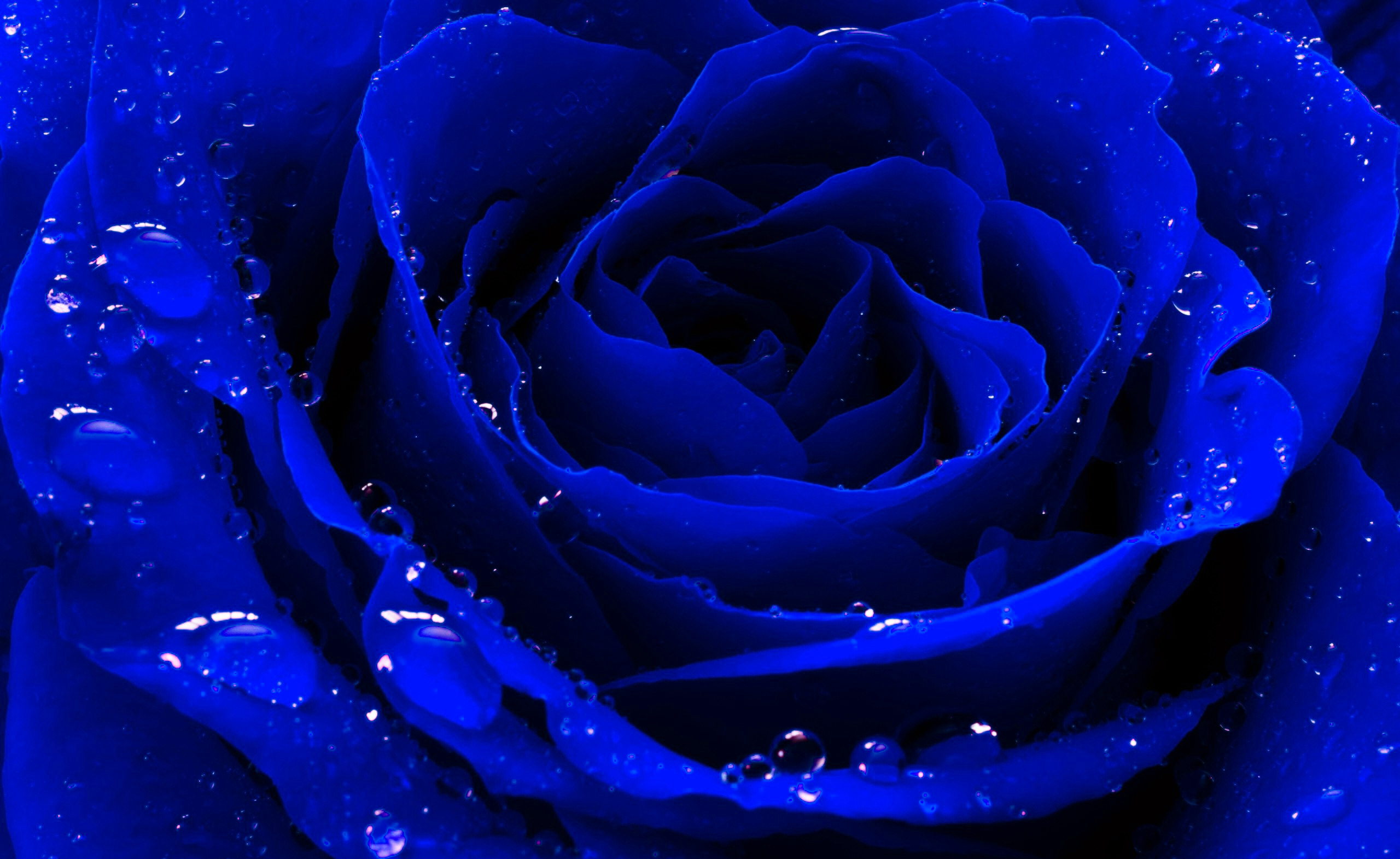 TTTT闖的個人主頁（封面預覽） - 主頁封面設置 - 站酷設計師TTTT闖原創(chuàng)素材 - 站酷ZCOOL