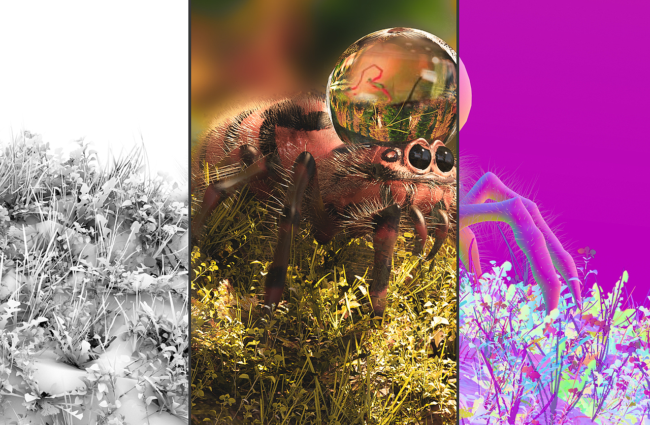 突如其来的水滴让原本就不富裕的小红雪上加霜…