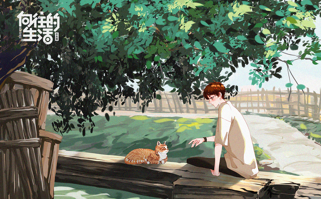 夏日3-猫与少年