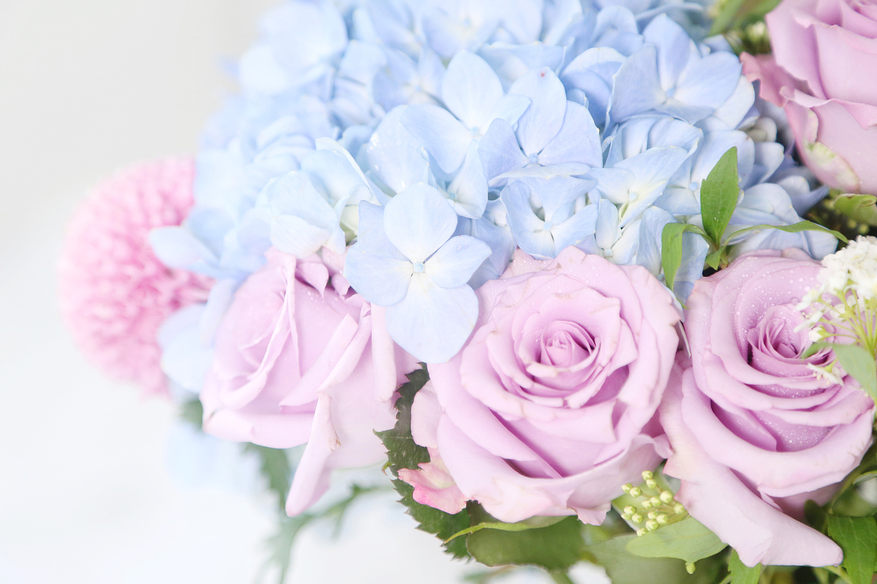 花束拍摄（图ZNzQxNDM0NjQ=） - 产品摄影 - 站酷设计师鲜大大锅原创素材 - 站酷ZCOOL