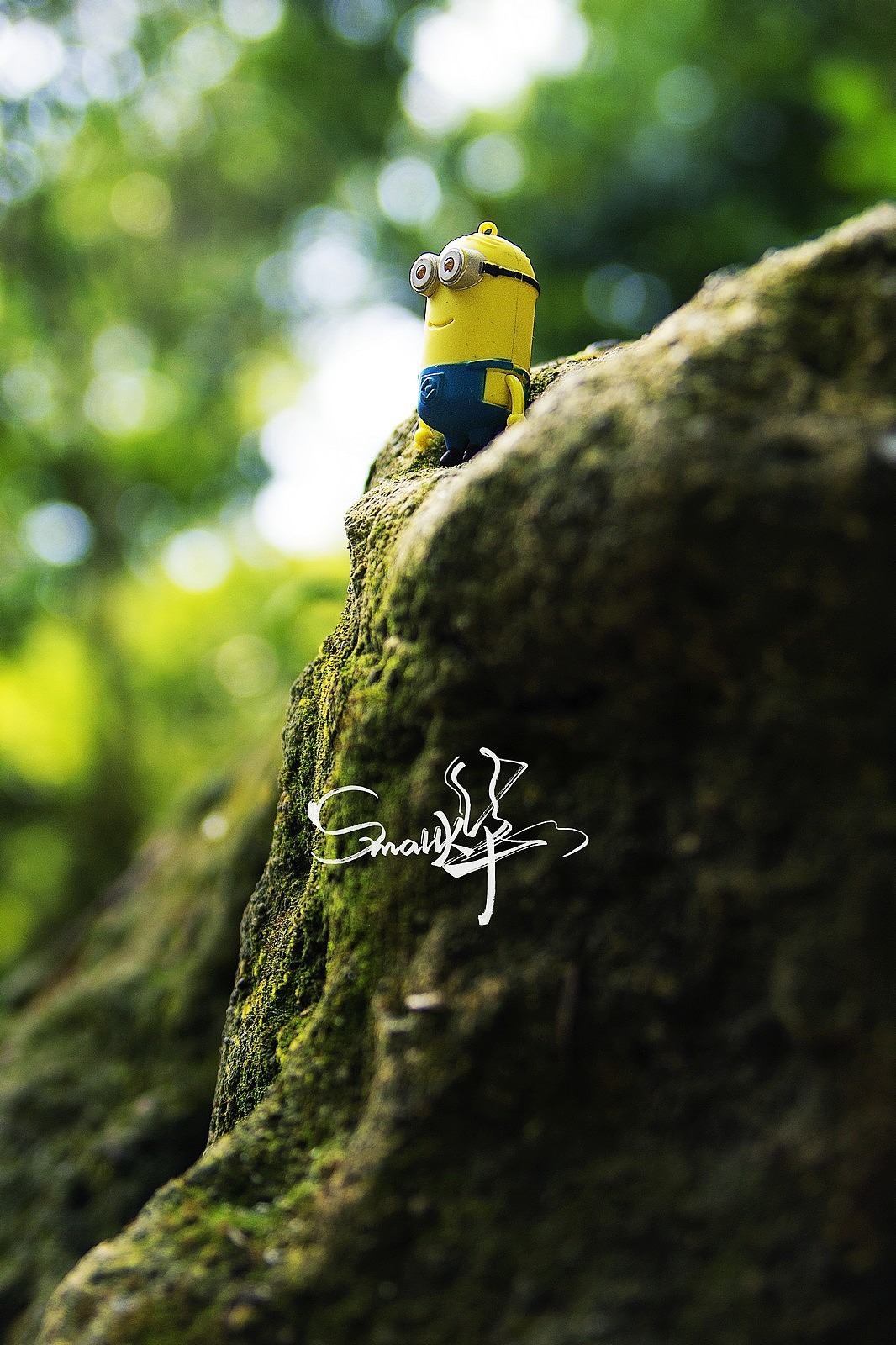 小黄人丛林历险