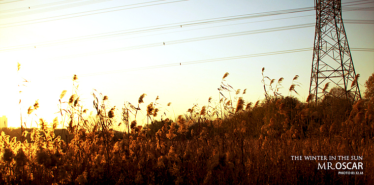 拍点什么好（图ZMjA0ODU1Ng==） - 人文/纪实摄影 - 站酷设计师oscarzhan原创素材 - 站酷ZCOOL