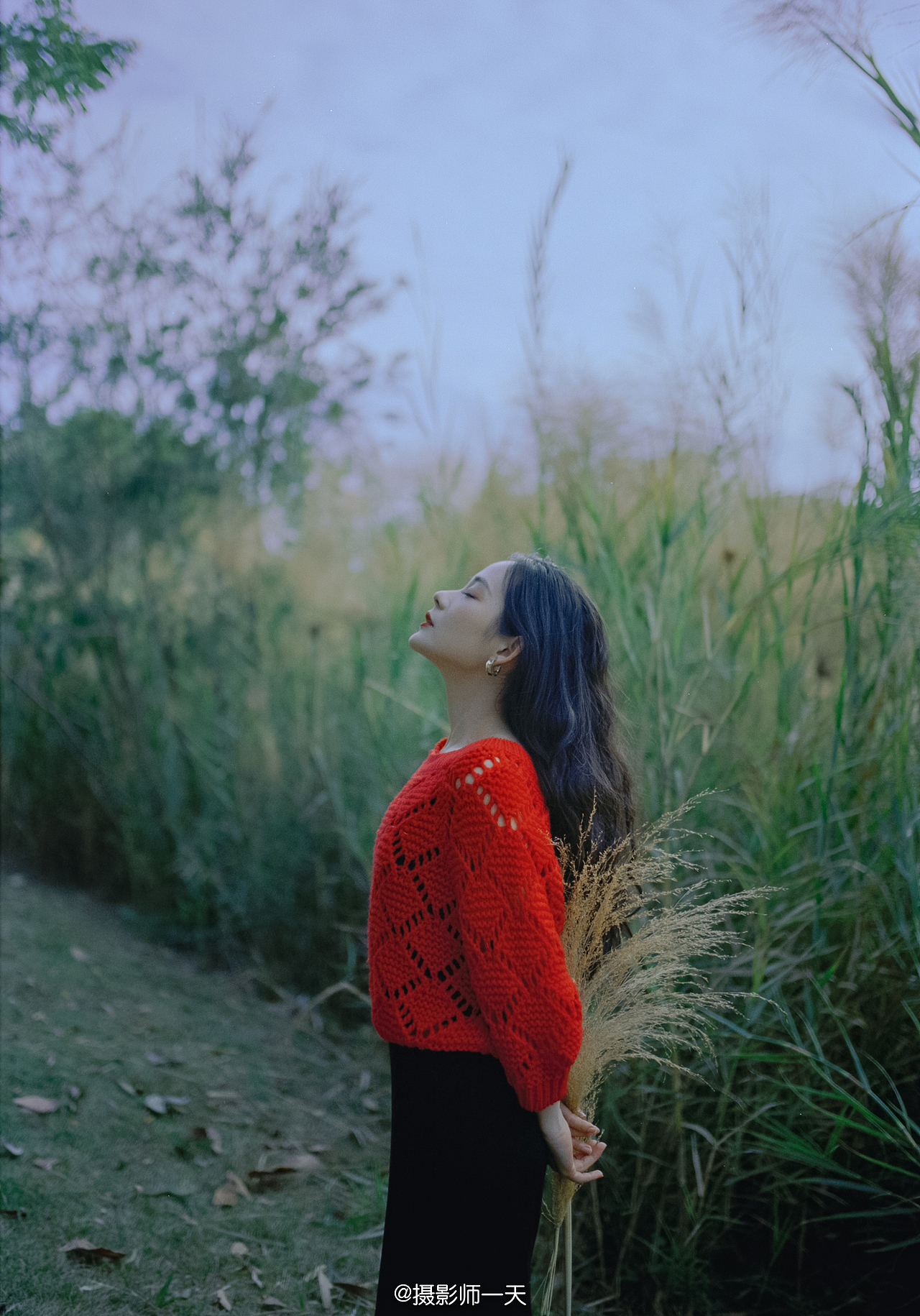 冬季芦苇（图ZMjM5NTY0Mzky） - 人像摄影 - 站酷设计师摄影师一天原创素材 - 站酷ZCOOL