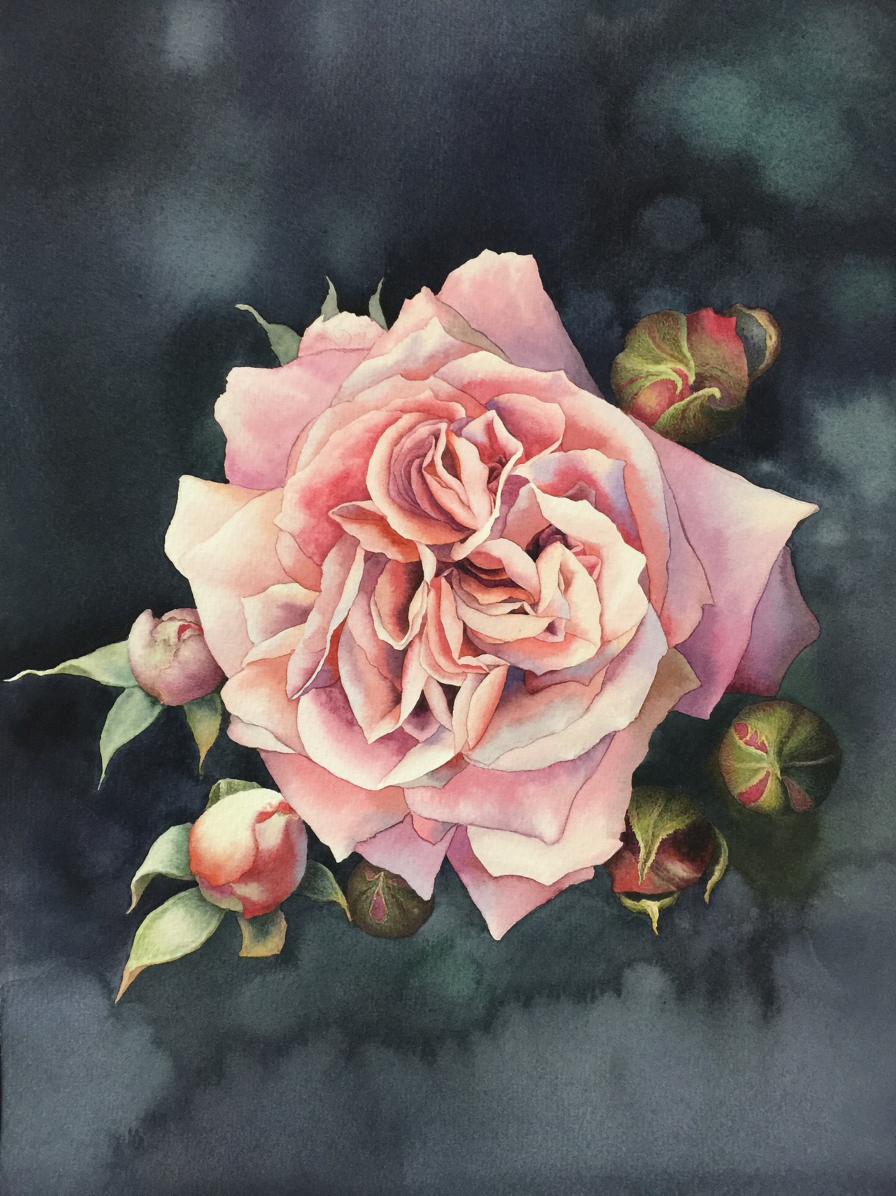 花花世界水彩玫瑰花