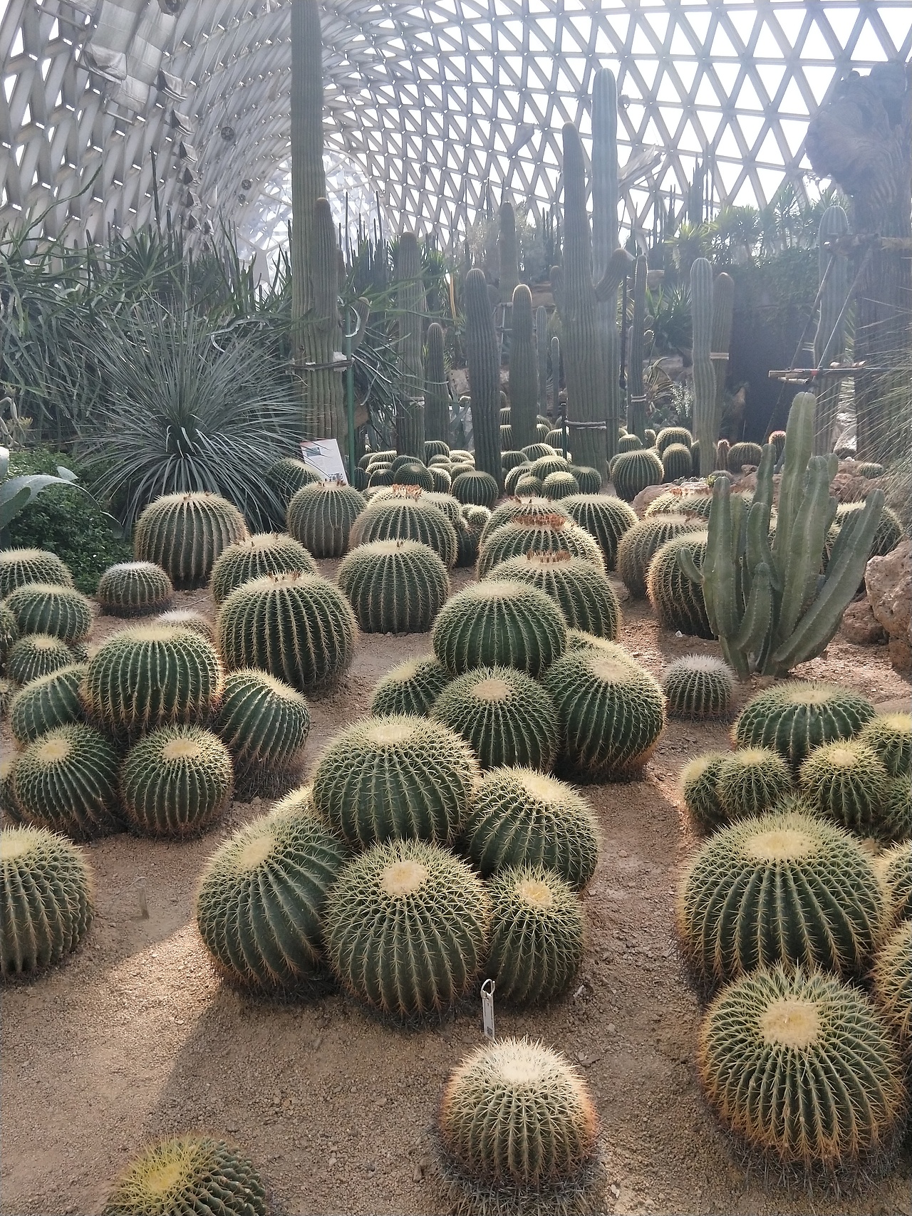 上海辰山植物园