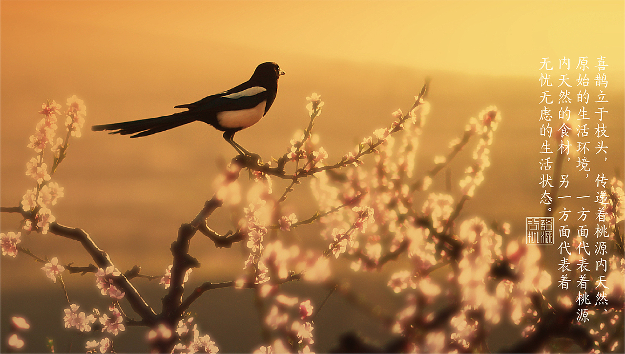 谷语桃源 养生餐厅 品牌形象设计（图ZMjAxMjEzOTUy） - 品牌 - 站酷设计师花开花落幽谷里原创素材 - 站酷ZCOOL