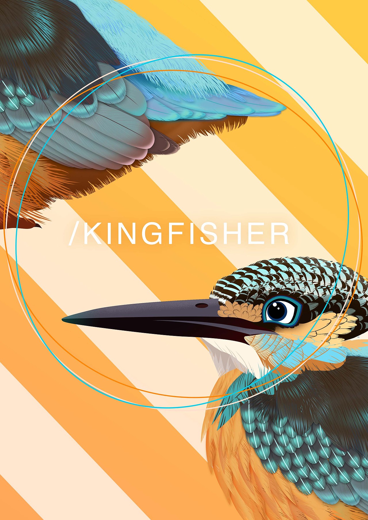 花&鸟 Part01（图ZNjkwMzg5Njg=） - 商业插画 - 站酷设计师岩畔原创素材 - 站酷ZCOOL