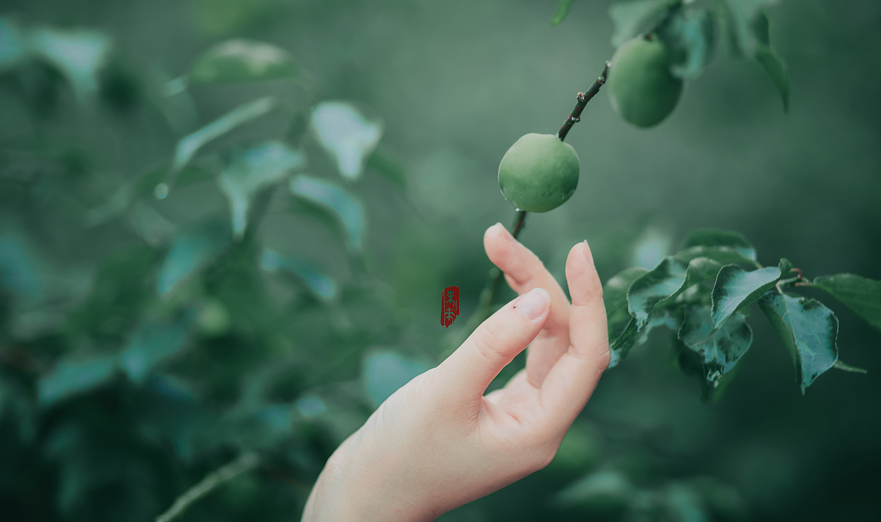 分享收藏春园标签汉服古风下雨美人青梅添加表情喀什的天空摄影-人文
