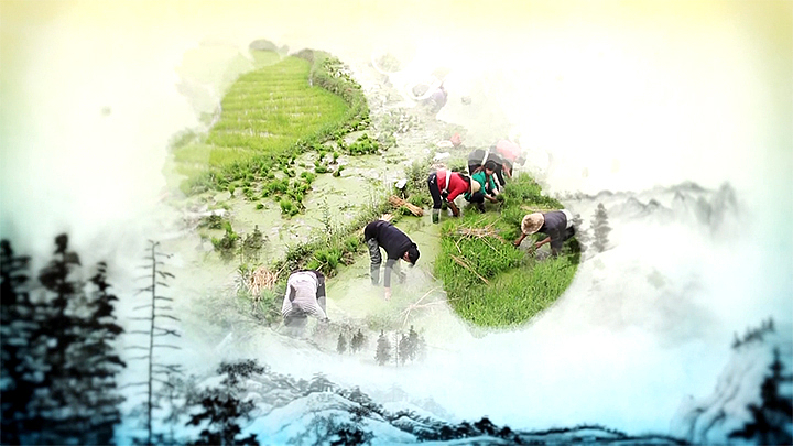 秦味儿（图ZNDAyNTk4NjQ=） - 栏目片头 - 站酷设计师jadysea原创素材 - 站酷ZCOOL